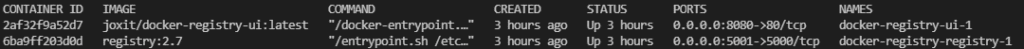 Docker local registry and its GUI running