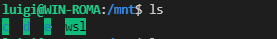 WSL2 /mnt listing
WSL2 issues access folders